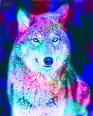 Abstract, colourful depiction of a wolf's face with vibrant hues.